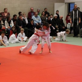 IMG 3088  Small - Judoclub Zaventem 